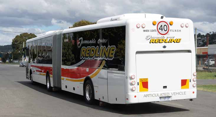 Tasmanian Redline Bonluck CityStar Artic 120